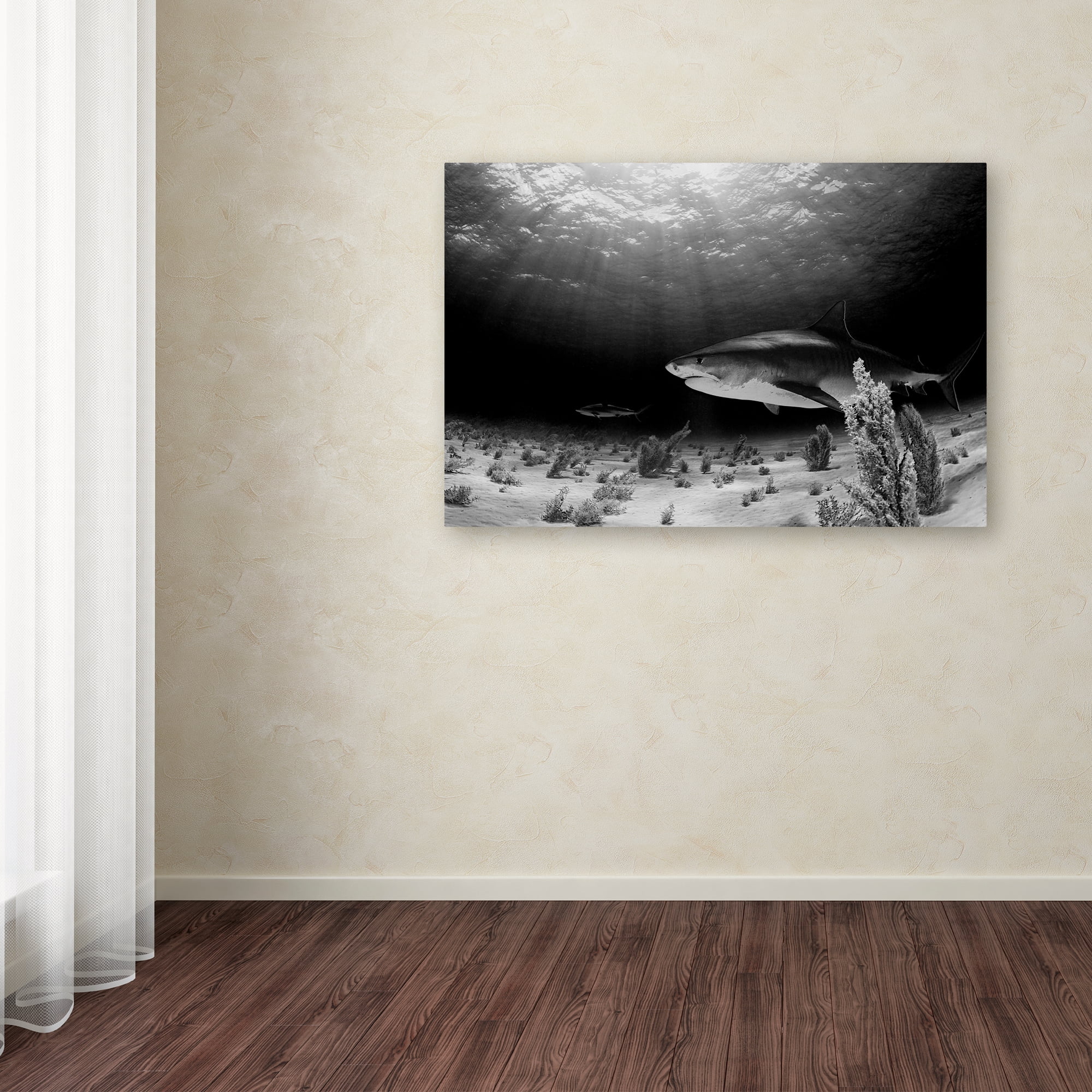 Trademark Fine Art 'Dark Tiger' Canvas Art by Ken Kiefer