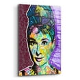 thumbnail image 2 of Epic Art 'Audrey 2' by Dean Russo, Acrylic Glass Wall Art, 12"x16", 2 of 8