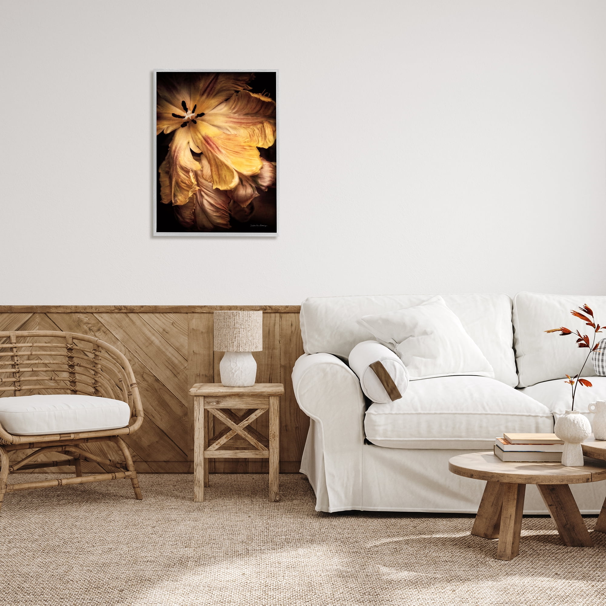 Stupell Industries Modern Hibiscus Photography Botanical & Floral Photography Gray Framed Art Print Wall Art, 24 x 30