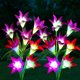 thumbnail image 5 of 2 piezas de lámpara de lirio, 4 cabezas de flores de simulación LED, lámpara de jardín al aire libre, paisaje de lámpara de césped (rojo + morado), 5 of 5