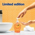 thumbnail image 2 of Softsoap Limited Edition Liquid Hand Soap, Pumpkin Scent, 6.25 fl oz Pump Bottle, 2 of 11