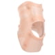 thumbnail image 2 of Soporte de Rodillera ANGGREK SEBS Lavable Y Reutilizable, 2 of 8