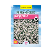 Ferry-Morse 350MG Gypsophila Covent Garden Annual Flower Seeds Full Sun
