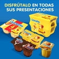 thumbnail image 4 of Flan Danone Danette sabor vainilla más caramelo 100 g, 4 of 4