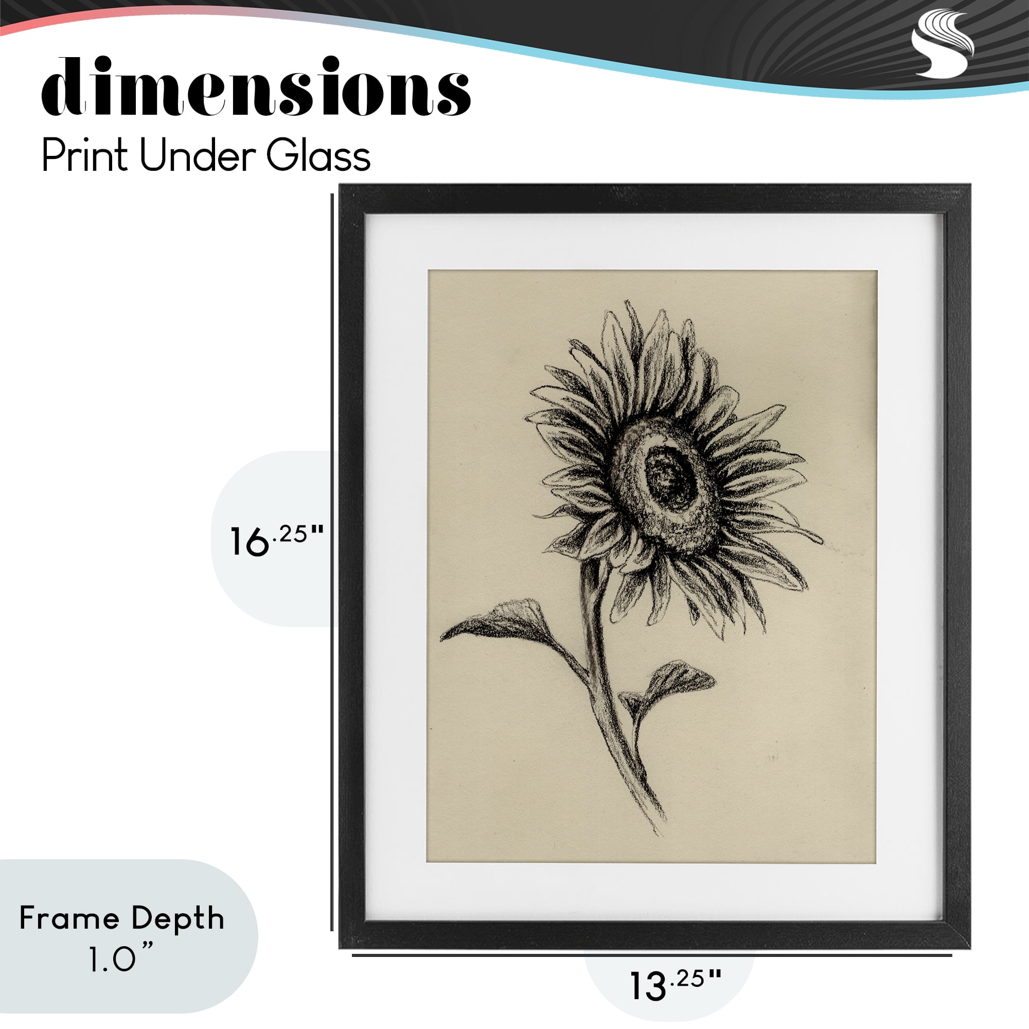 Stupell Industries Sunflowers in Charcoal Black Framed Print Under Glass, design by Leah Noel Art