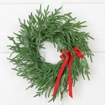 Frosted Norfolk Pine Artificial Christmas Wreath - 20" - Unlit