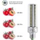 thumbnail image 4 of 26-27 E27 25w Led Bulb Warm 3000k, 2500lm High Ness, Halon Equivalent 200w Bulb, Non-dimmable, E27 Led Bulb For Ceiling, 4 of 5