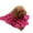 Hot Pink, variant on Ctnporpo Blanket Pet Blanket Warm Dog Cat Pet Fleece Fabric Blanket Sleep Mat Pad Bed Cover with Print Soft Blanket for Puppy and Other Small Animals Wool Blanket Cotton Blanket