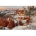 thumbnail image 2 of Paulson, Don 32x23 White Modern Wood Framed Museum Art Print Titled - Utah, View of Bryce Canyon in winter, 2 of 4