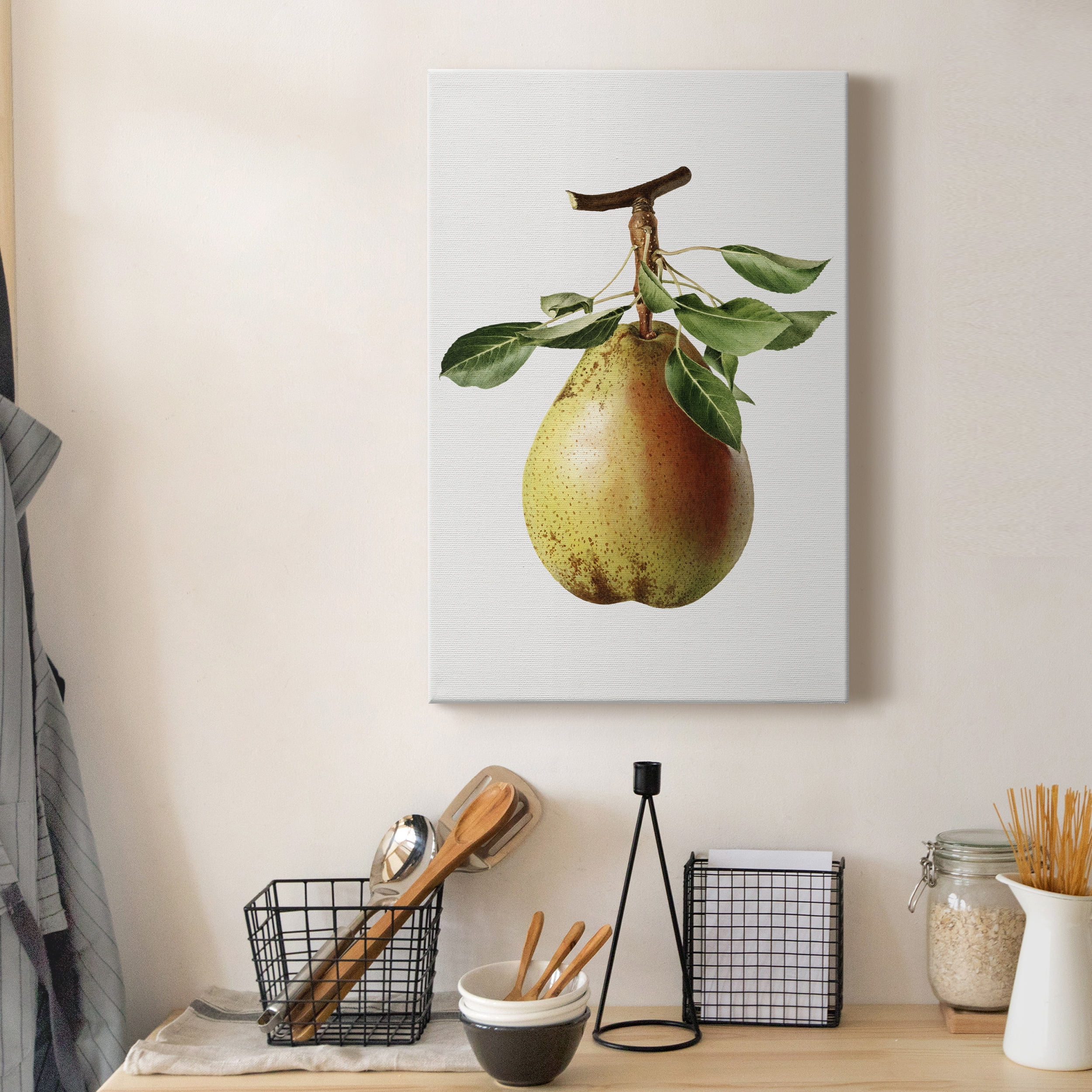 Vintage Pear Illustration II Premium Gallery Wrapped Canvas - Ready to Hang - 40 x 60