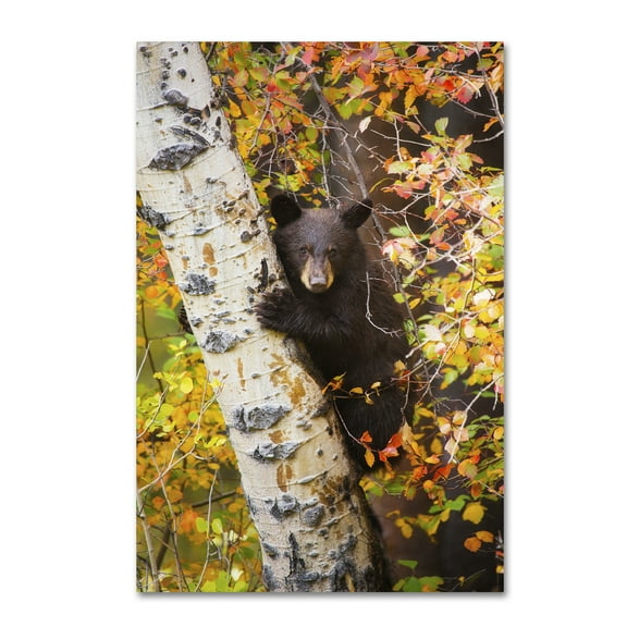 Trademark Fine Art 'Animal 38' Canvas Art by Lantern Press