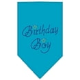 thumbnail image 2 of Birthday Boy Rhinestone Bandana Turquoise Large, 2 of 2