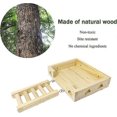 thumbnail image 3 of Wood Bird Perch-Toys and Accessories for Parrot, Parakeet, Syrian Hamster, Ferret, Chinchilla, Guinea Pig-Hamster Play Stand Platform with Ladder, 3 of 5