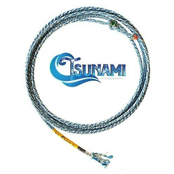 Tsunami 9ft Wakeboard Rope - Breakaway Nylon Rope for Waterskiing & Wakeboarding - Blue/White - 9.0ft Length - Durable & Reliable Wake Surf Accessories