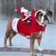 thumbnail image 2 of Fun Pet Dog Christmas clothes Santa Claus riding a deer Jacket Coat Pets Christmas Dog Apparel Costumes for Big Dog Small Dog ShopWise Round, 2 of 7