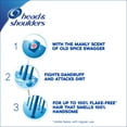 thumbnail image 2 of Head and Shoulders Old Spice Swagger Anti-Dandruff Shampoo for Men 13.5 Fl Oz, 2 of 6