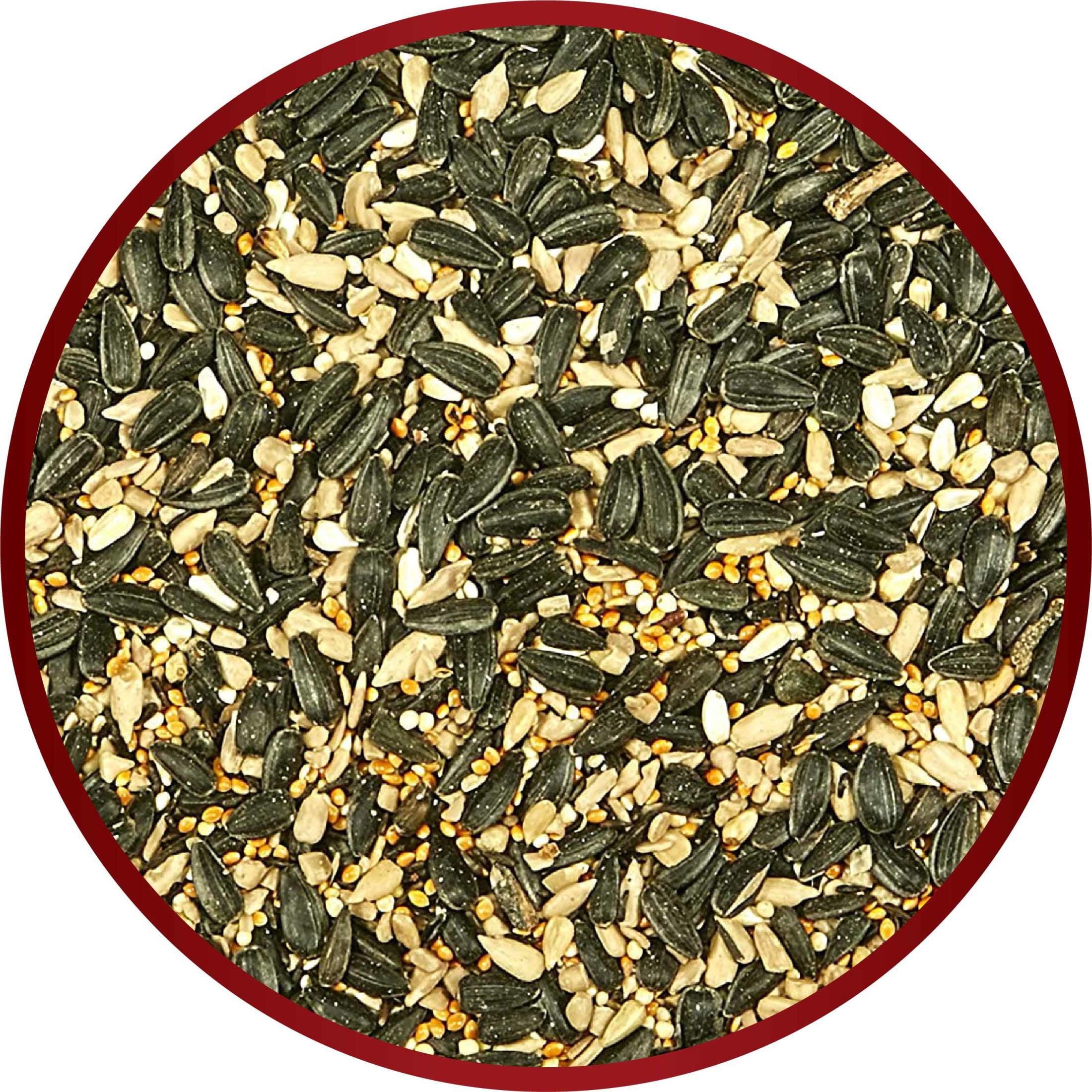 (4 pack) Kaytee Midwest Regional Blend, Dry Wild Bird Feed and Seed, 10 lbs. 1 Pack