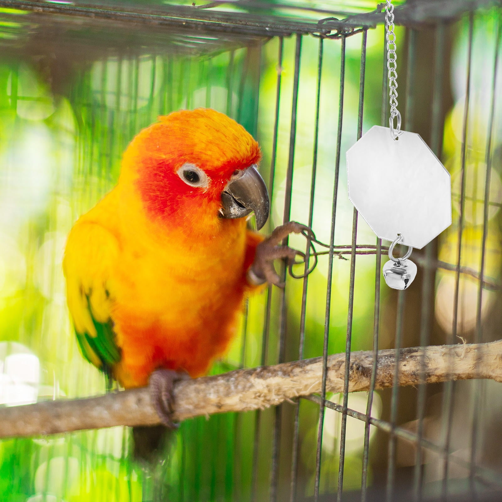Phenofice Parakeet Cage Mirror Hanging, Acrylic with Bell Bird Accessory