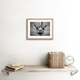 thumbnail image 2 of Furlan Giraffe Head Face Framed Wall Art Print, 2 of 5