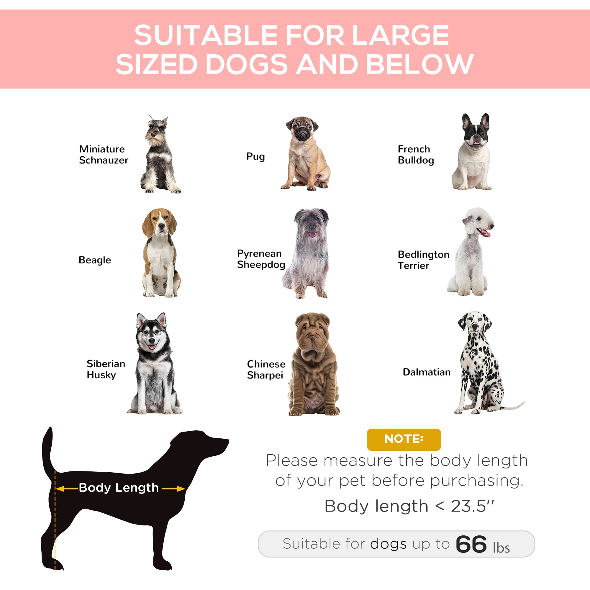 Elevated Dog Bed Elevated Cooling Summer Dog Cot Pet Bed