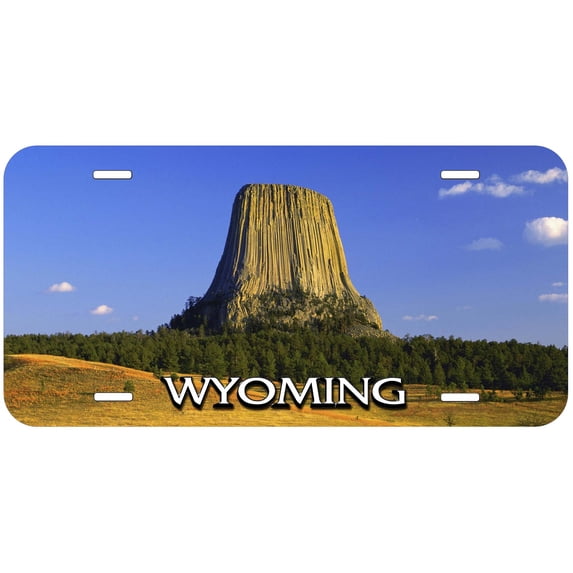 Devils Tower WY TAG01 Novelty Car Auto License Plate