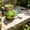 B, variant on Garden Outdoor Frog Statue Decor, Metal Frog Yard Art, Cute Frog Sculpture Lawn Ornaments for Backyard Pond Patio Porch Outside Decorations,Birthday Gifts for Women Mom Grandma