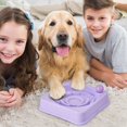 thumbnail image 3 of Interactive Slow Feeder Puzzle Bowl for Dogs and Cats Indoor Pet Mealtime Eating Solution with Design, 3 of 3
