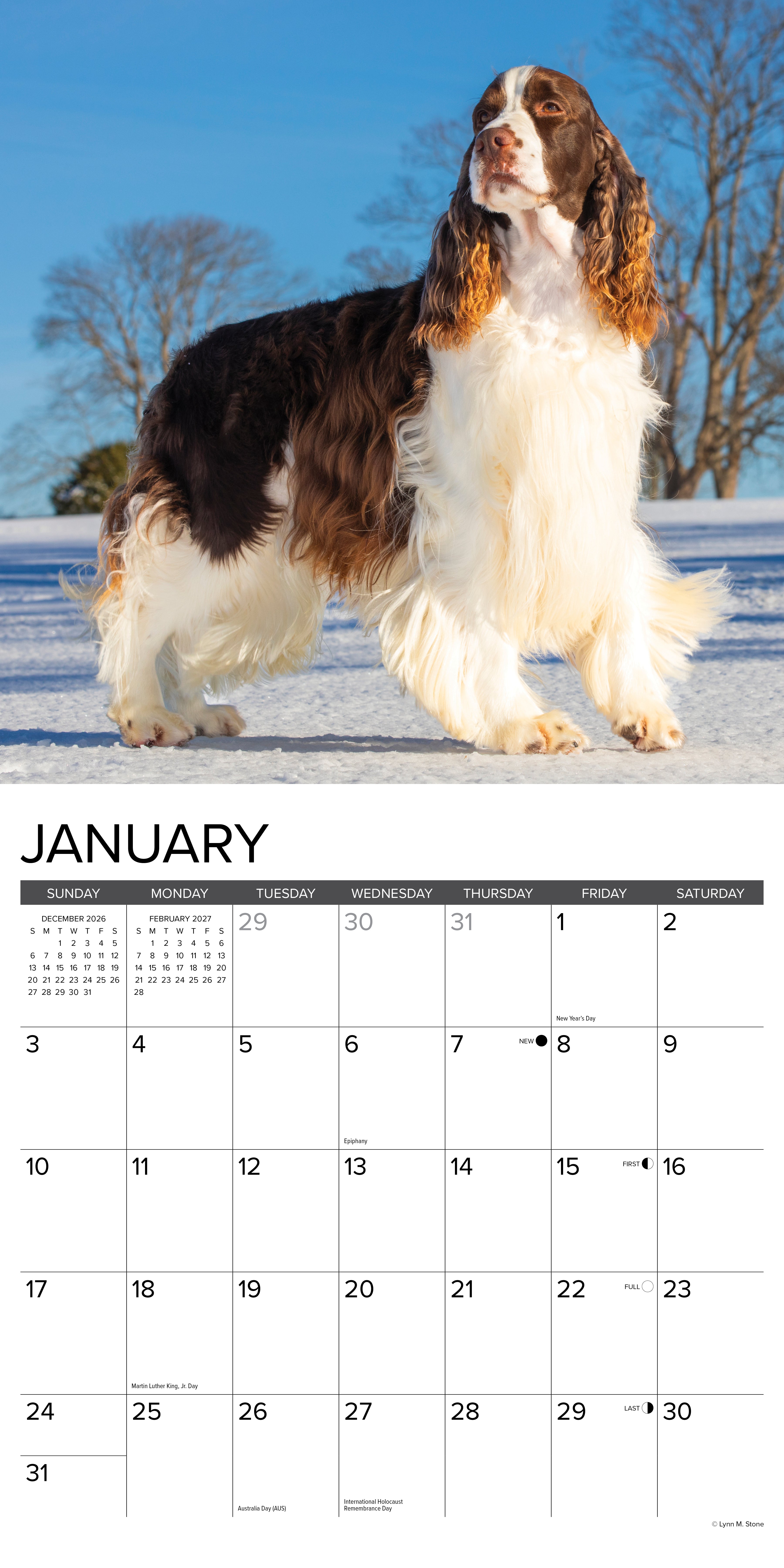 Willow Creek Press, English Springer Spaniels 2027 Wall Calendar