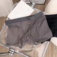 thumbnail image 5 of Men's Sheer Ice Silk Boxer Briefs Underwear Carbon Gray XXXL, 5 of 9