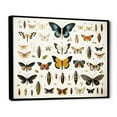 thumbnail image 3 of Designart "Insects and Bugs in Blue and Yellow" Extra Large Animals Framed Wall Art - Modern Blue Insects & Bugs Hallway Framed Wall Art Decor, 3 of 7