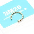 thumbnail image 5 of Pure24K Implant Grade Titanium Basic Nose Hoop Ring, 5 of 5