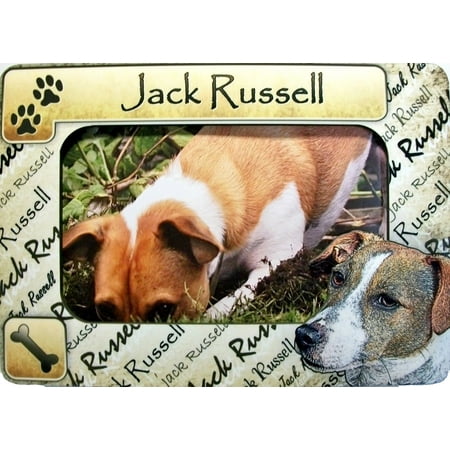 - Jack Russell Dog Breed Picture Frame Fridge Magnet