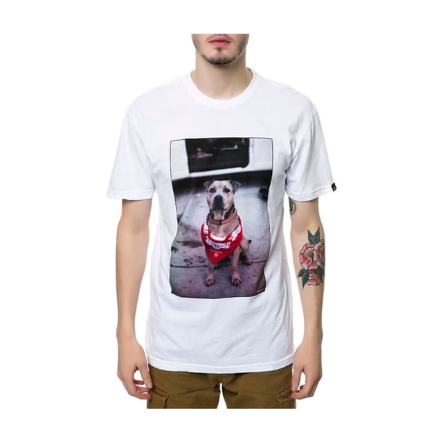Camiseta gráfica The Chief Dog Emerica blanca grande