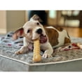 thumbnail image 6 of Nylabone Power Chew Textured Bone Dog Toy, Dog Chew Toy, Peanut Butter Flavor, Large, 1 Count, 6 of 14