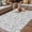 Grey, variant on Grey Spring Floral Outdoor Rug for Patio/Deck/Porch, Non-Slip Large Area Rug 3 x 5 Ft, Farmhouse Flowers Elegant Pastoral Indoor Outdoor Rugs Washable Area Rugs, Reversible Camping Rug Carpet Runner
