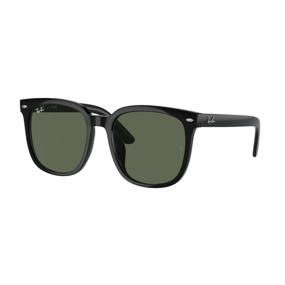 Sunglasses Ray-Ban RB 4401 D 601/71 Black Dark Green