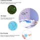 thumbnail image 4 of 100 pegatinas de estrellas luminosas que crean un cielo estrellado realista, pegatinas de estrellas oscuras para techo, decoración de habitaciones (azul), 4 of 5