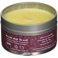 thumbnail image 2 of rareEarth Passion Travel Tin Candle, 2 of 3