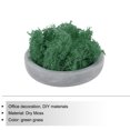 thumbnail image 3 of Unique Bargains 3.5 OZ Moss Preserved Moss Artificial Moss for Craft Floral Project Table Decor Turquoise, 3 of 7