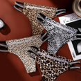 thumbnail image 2 of Ice Thongs for Women Sexy G String Panties Low Waist Leopard Print Underwear 3 Pack, 2 of 5