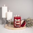 thumbnail image 2 of Colonial Candle Cinnamon Chai 18 Oz 2 Wick Candle, Red, 2 of 6