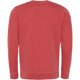 thumbnail image 2 of AWDis Hoods - Sudadera manga larga Modelo Washed Look hombre caballero (Rojo Fuego), 2 of 2