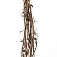 thumbnail image 2 of 12 Pack: 15ft. Grapevine Garland by Ashland, 2 of 2