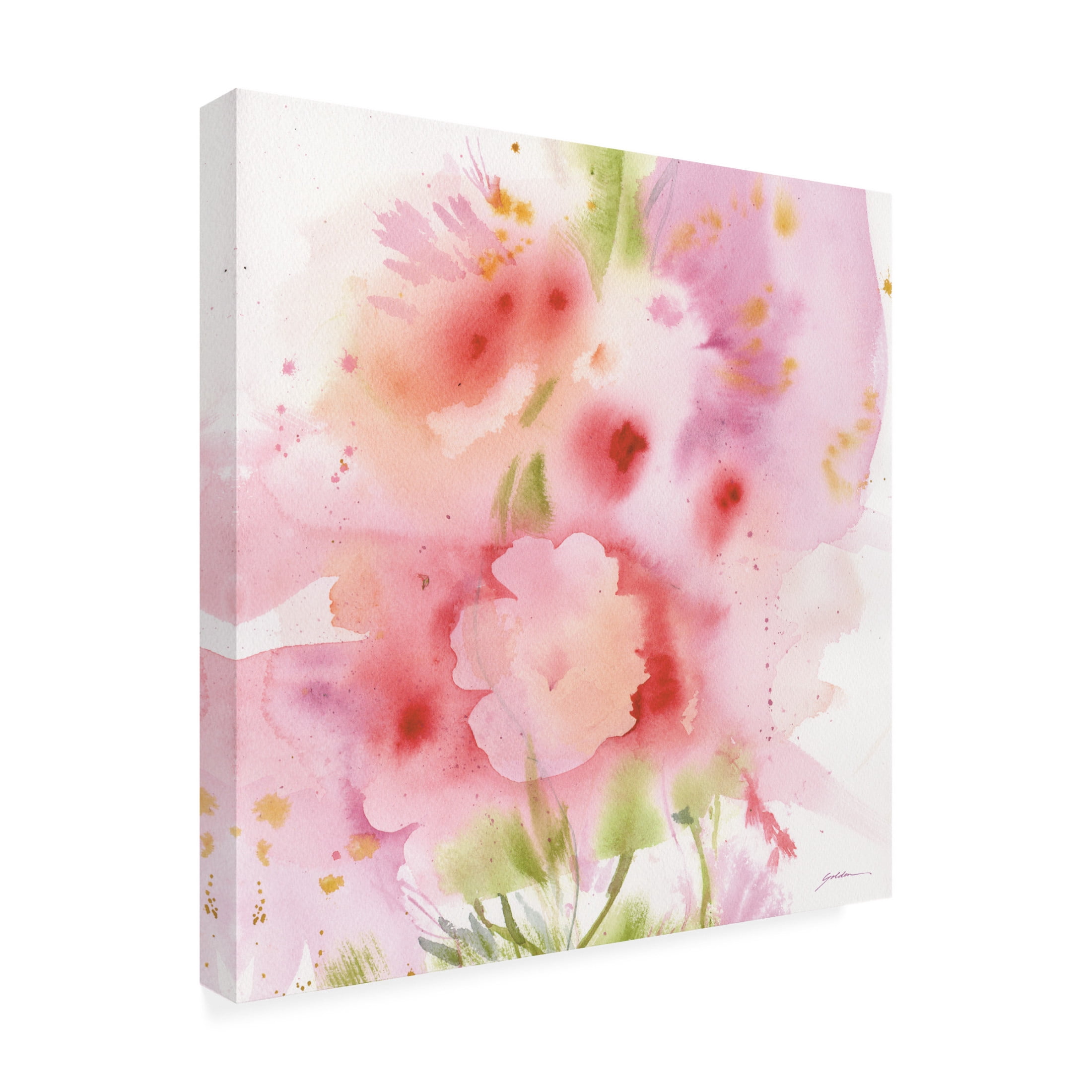 Canvas Wall Art - Sheila Golden 'Blush of Nature' Wall Art for Living Room, Bedroom, or Office Décor by Trademark Fine Art - 35 x 35 Inches