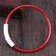 thumbnail image 4 of EeaseMX Collar LED para perro, recargable por USB, brillante, para seguridad nocturna, 50 cm (rojo), 4 of 7