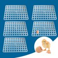 thumbnail image 3 of Peakora Plastic Egg Tray for 88-Egg Incubator, Fits Automatic Breeding Machines, , Easy to Clean and Use, 3 of 4