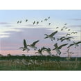 thumbnail image 2 of Goebel, Wilhelm 18x15 Gold Ornate Wood Framed with Double Matting Museum Art Print Titled - Wings Over Delmarva, 2 of 4