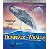Imax: Humpback Whales (4K Ultra HD), Shout Factory, Special Interests