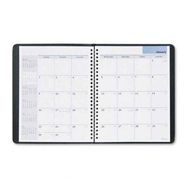 Mead At A Glance Planner, 1 ea