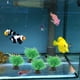 thumbnail image 4 of 20 plantas artificiales para acuario Betta, hierba acuática, para pecera., 4 of 6